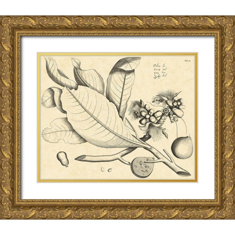 Vintage Leaf Study II Gold Ornate Wood Framed Art Print with Double Matting by Von Drakenstein, H.