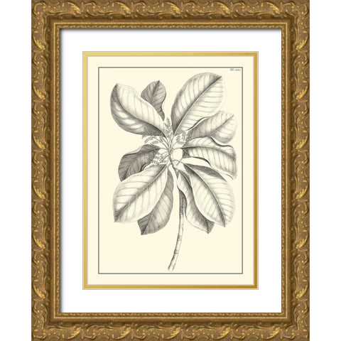 Non-Embellished Antique Foliage II Gold Ornate Wood Framed Art Print with Double Matting by Buchoz, Pierre Josep