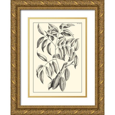 Non-Embellished Antique Foliage III Gold Ornate Wood Framed Art Print with Double Matting by Buchoz, Pierre Josep