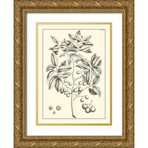 Non-Embellished Antique Foliage VI Gold Ornate Wood Framed Art Print with Double Matting by Buchoz, Pierre Josep