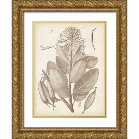 Sepia Exotic Plants I Gold Ornate Wood Framed Art Print with Double Matting by Vision Studio