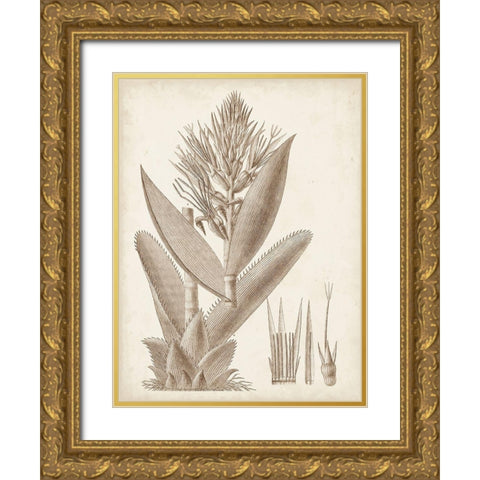 Sepia Exotic Plants II Gold Ornate Wood Framed Art Print with Double Matting by Vision Studio