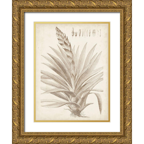 Sepia Exotic Plants III Gold Ornate Wood Framed Art Print with Double Matting by Vision Studio