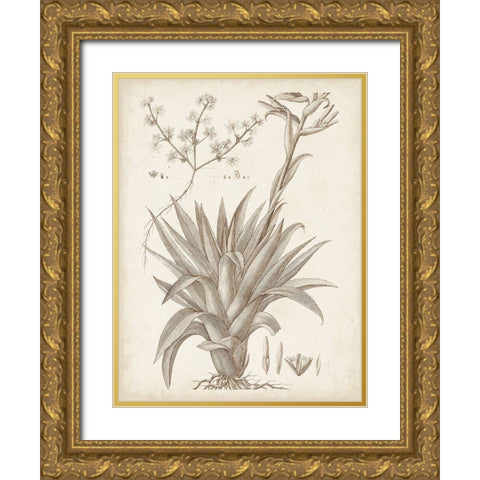 Sepia Exotic Plants IV Gold Ornate Wood Framed Art Print with Double Matting by Vision Studio
