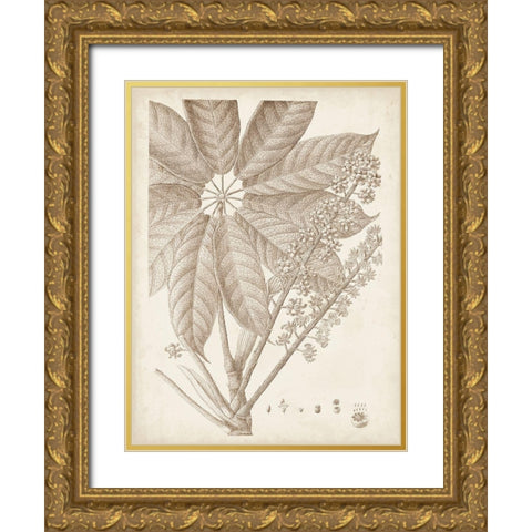 Sepia Exotic Plants V Gold Ornate Wood Framed Art Print with Double Matting by Vision Studio