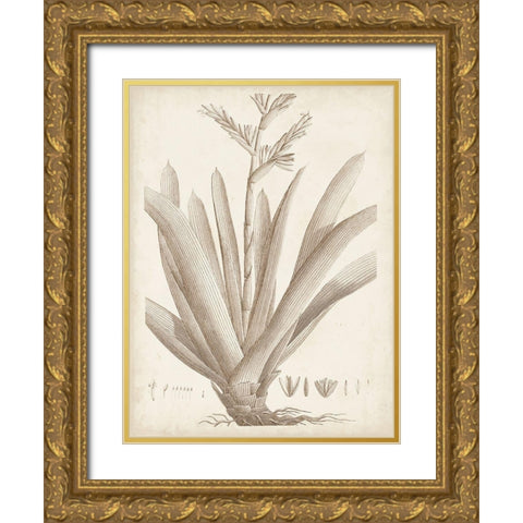 Sepia Exotic Plants VIII Gold Ornate Wood Framed Art Print with Double Matting by Vision Studio