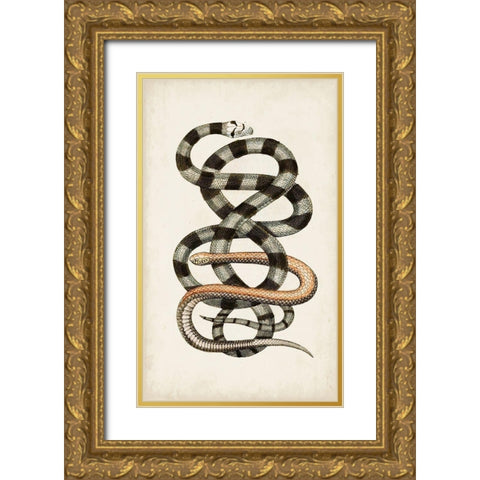 Antique Snakes I Gold Ornate Wood Framed Art Print with Double Matting by Vision Studio