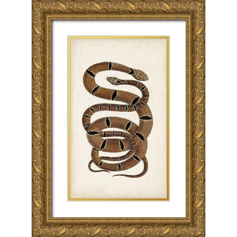 Antique Snakes III Gold Ornate Wood Framed Art Print with Double Matting by Vision Studio
