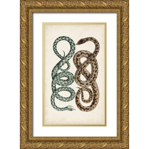 Antique Snakes IV Gold Ornate Wood Framed Art Print with Double Matting by Vision Studio