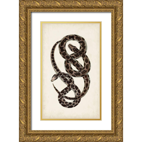 Antique Snakes V Gold Ornate Wood Framed Art Print with Double Matting by Vision Studio