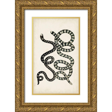 Antique Snakes VI Gold Ornate Wood Framed Art Print with Double Matting by Vision Studio