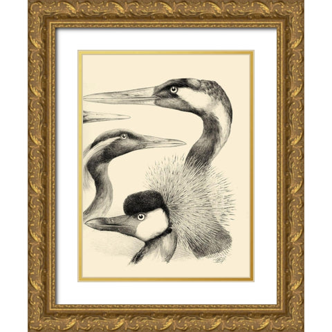 Waterbird Sketchbook I Gold Ornate Wood Framed Art Print with Double Matting by Vision Studio