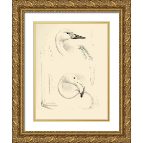 Waterbird Sketchbook II Gold Ornate Wood Framed Art Print with Double Matting by Vision Studio