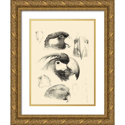 Waterbird Sketchbook III Gold Ornate Wood Framed Art Print with Double Matting by Vision Studio