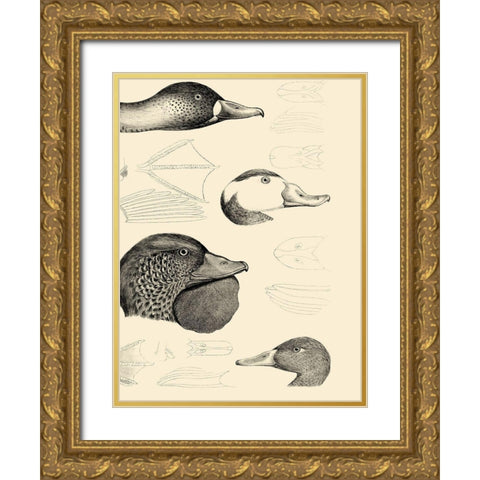 Waterbird Sketchbook IV Gold Ornate Wood Framed Art Print with Double Matting by Vision Studio