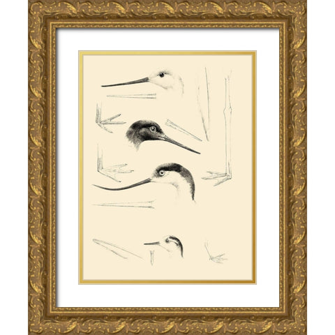 Waterbird Sketchbook V Gold Ornate Wood Framed Art Print with Double Matting by Vision Studio