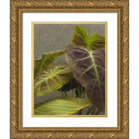 Non-Embellished Dramatic Leaves I Gold Ornate Wood Framed Art Print with Double Matting by Zarris, Charliklia