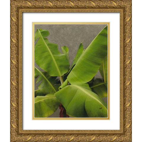 Non-Embellished Dramatic Leaves III Gold Ornate Wood Framed Art Print with Double Matting by Zarris, Charliklia
