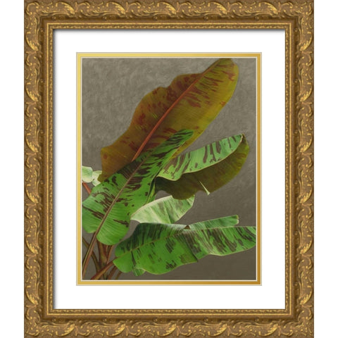 Non-Embellished Dramatic Leaves IV Gold Ornate Wood Framed Art Print with Double Matting by Zarris, Charliklia