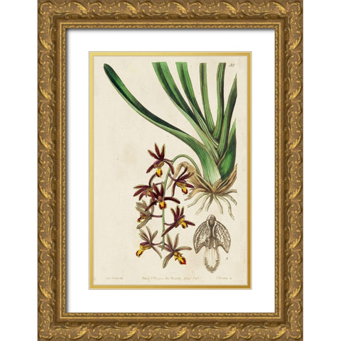 Small Spring Orchid V Gold Ornate Wood Framed Art Print with Double Matting by Ridgeway
