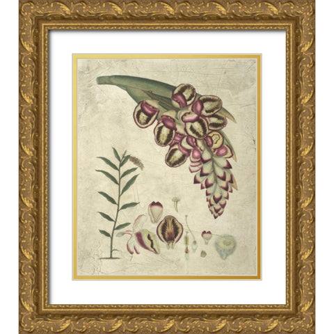 Aubergine Florals II Gold Ornate Wood Framed Art Print with Double Matting by Vision Studio