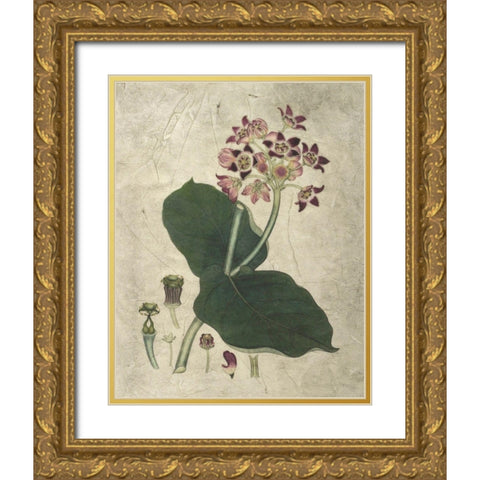 Aubergine Florals III Gold Ornate Wood Framed Art Print with Double Matting by Vision Studio