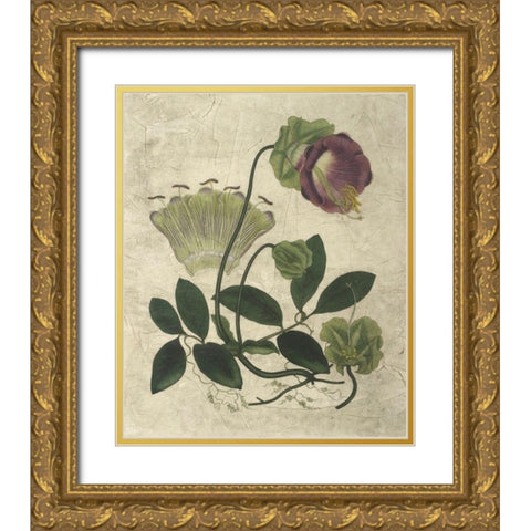 Aubergine Florals IV Gold Ornate Wood Framed Art Print with Double Matting by Vision Studio