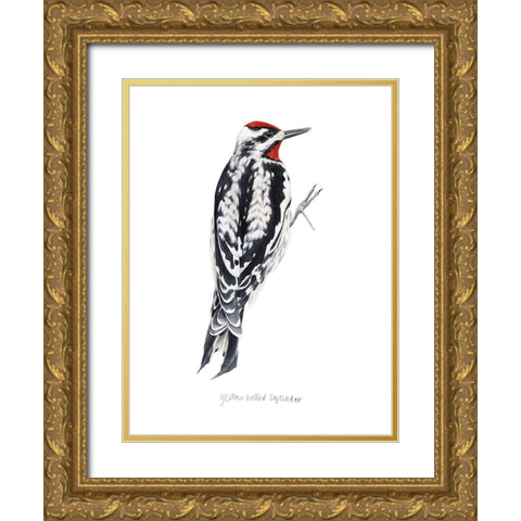 Watercolor Woodpecker I Gold Ornate Wood Framed Art Print with Double Matting by Popp, Grace