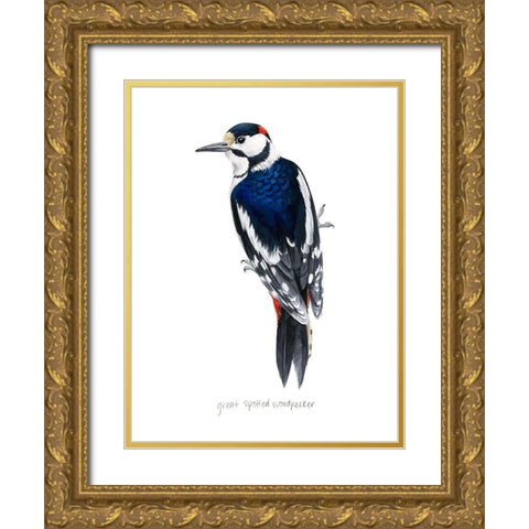 Watercolor Woodpecker II Gold Ornate Wood Framed Art Print with Double Matting by Popp, Grace