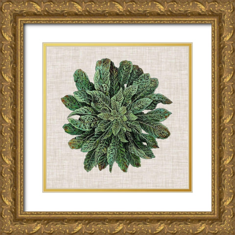 Spherical Leaves I Gold Ornate Wood Framed Art Print with Double Matting by Vision Studio