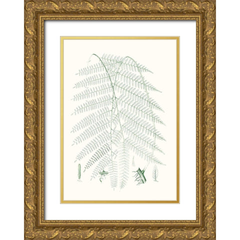 Verdure Ferns I Gold Ornate Wood Framed Art Print with Double Matting by Vision Studio