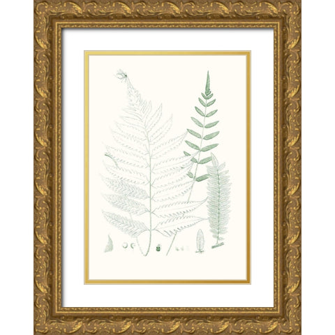 Verdure Ferns II Gold Ornate Wood Framed Art Print with Double Matting by Vision Studio