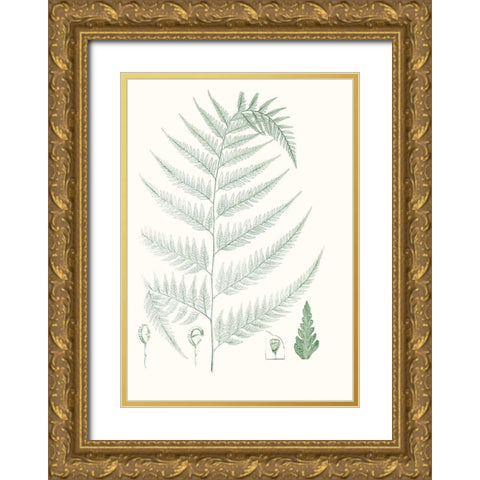 Verdure Ferns III Gold Ornate Wood Framed Art Print with Double Matting by Vision Studio