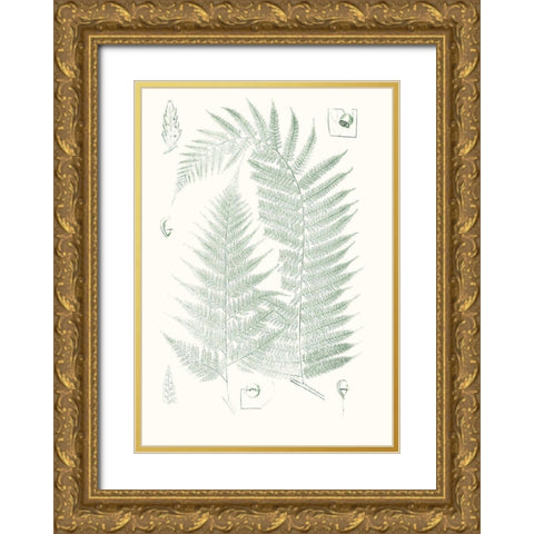 Verdure Ferns IV Gold Ornate Wood Framed Art Print with Double Matting by Vision Studio