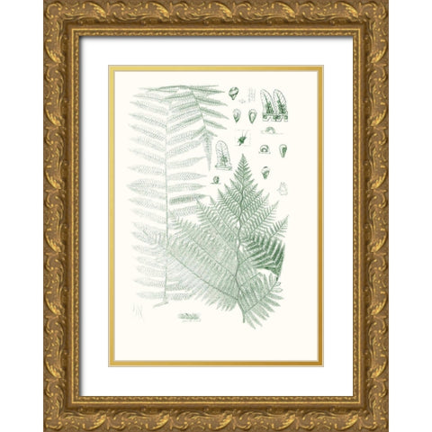 Verdure Ferns V Gold Ornate Wood Framed Art Print with Double Matting by Vision Studio
