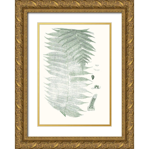 Verdure Ferns VI Gold Ornate Wood Framed Art Print with Double Matting by Vision Studio