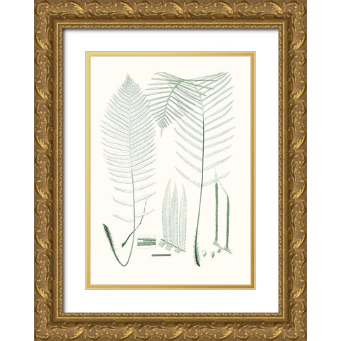 Verdure Ferns VII Gold Ornate Wood Framed Art Print with Double Matting by Vision Studio