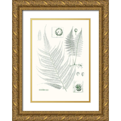 Verdure Ferns VIII Gold Ornate Wood Framed Art Print with Double Matting by Vision Studio