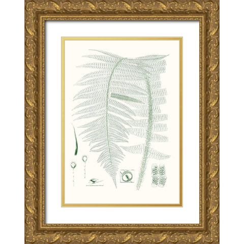 Verdure Ferns IX Gold Ornate Wood Framed Art Print with Double Matting by Vision Studio