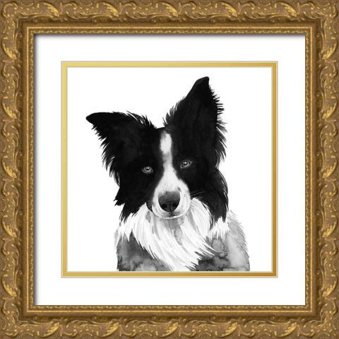 Border Collie I Gold Ornate Wood Framed Art Print with Double Matting by Popp, Grace