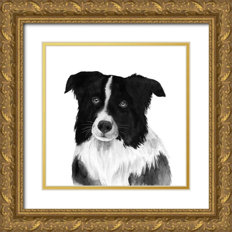 Border Collie II Gold Ornate Wood Framed Art Print with Double Matting by Popp, Grace