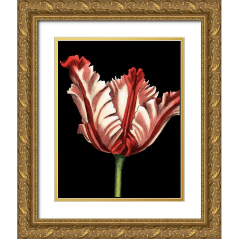Vibrant Tulips II Gold Ornate Wood Framed Art Print with Double Matting by Harper, Ethan
