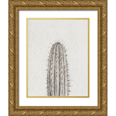 Cactus Study III Gold Ornate Wood Framed Art Print with Double Matting by OToole, Tim