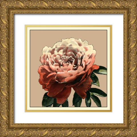 Heirloom Rose II Gold Ornate Wood Framed Art Print with Double Matting by Zarris, Chariklia