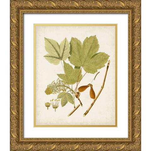 Antique Leaves IV Gold Ornate Wood Framed Art Print with Double Matting by Unknown