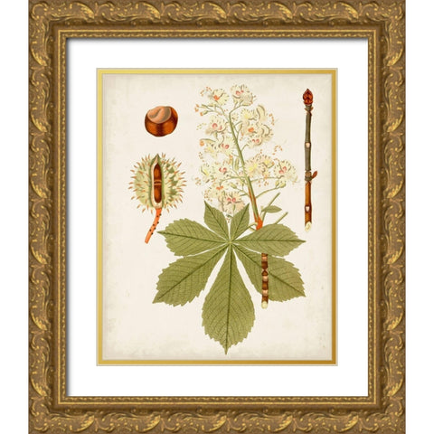 Antique Leaves VIII Gold Ornate Wood Framed Art Print with Double Matting by Unknown