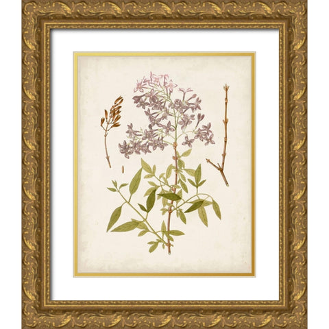 Vintage Flowering Trees I Gold Ornate Wood Framed Art Print with Double Matting by Unknown
