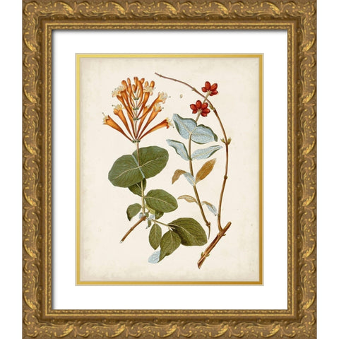 Vintage Flowering Trees IV Gold Ornate Wood Framed Art Print with Double Matting by Unknown