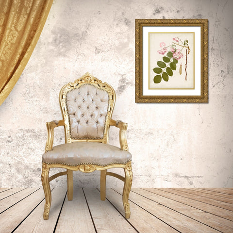 Vintage Flowering Trees VIII Gold Ornate Wood Framed Art Print with Double Matting by Unknown