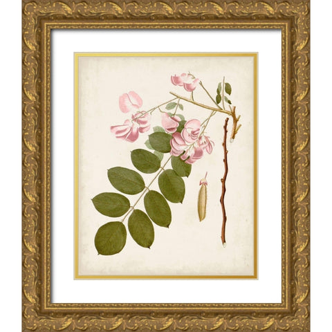 Vintage Flowering Trees VIII Gold Ornate Wood Framed Art Print with Double Matting by Unknown